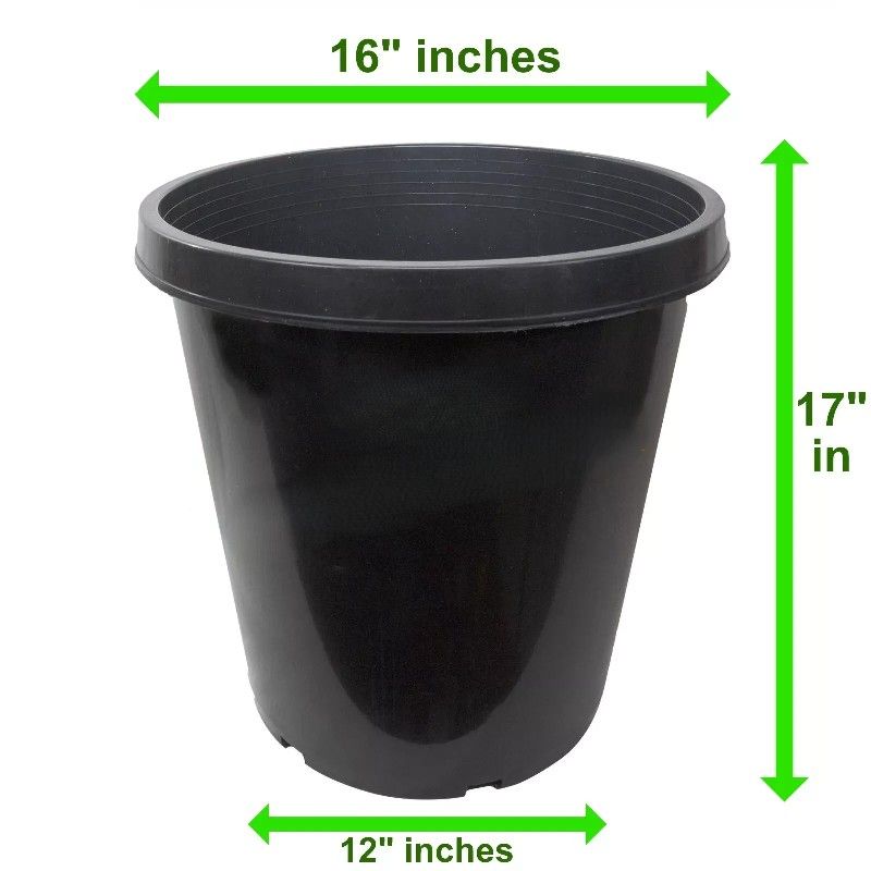 ($5) - 15 Gallon Nursery Pots: Heavy Duty Black Plastic - Indoor/Outdoor
