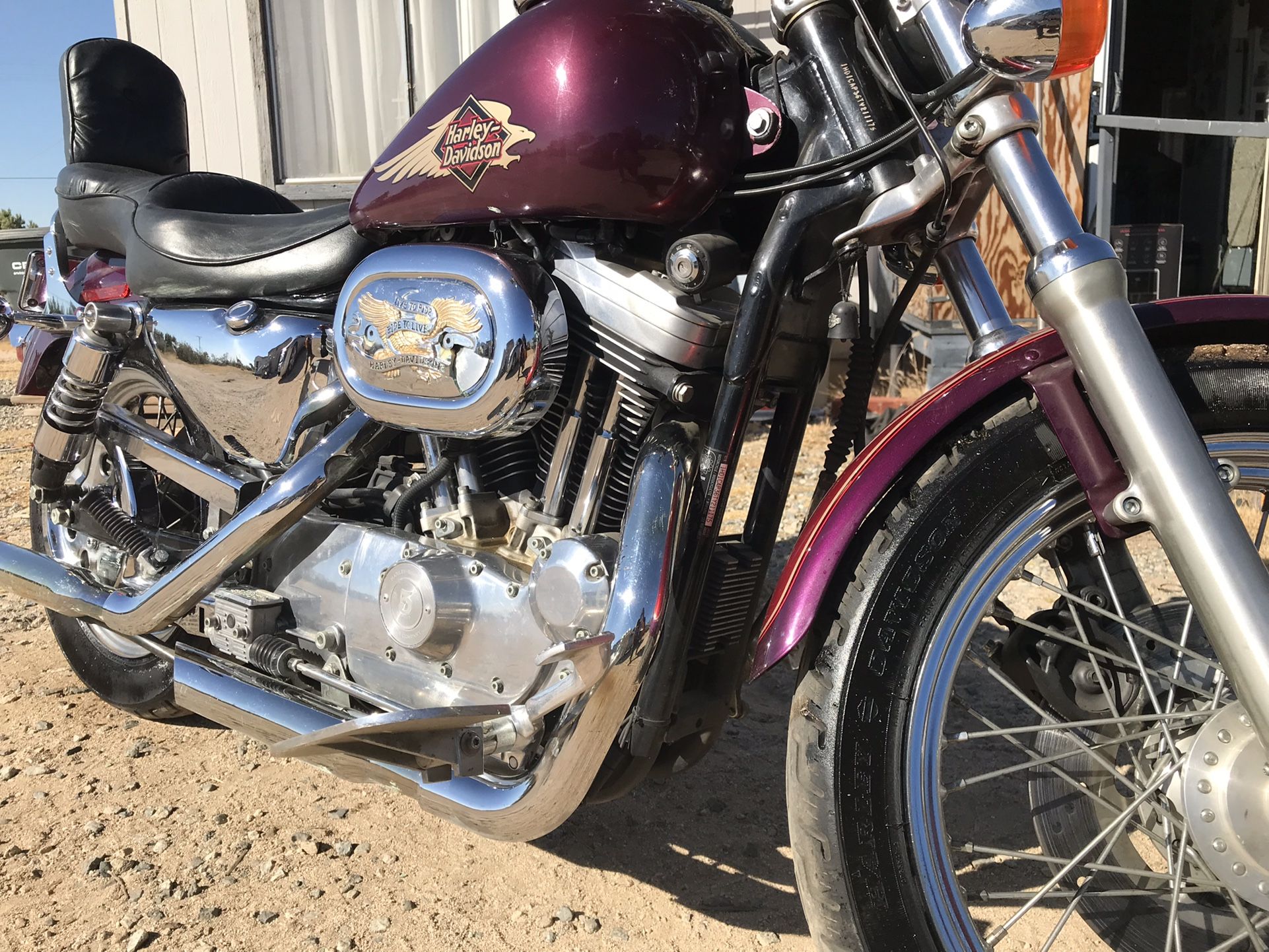 1997 Harley Sportster