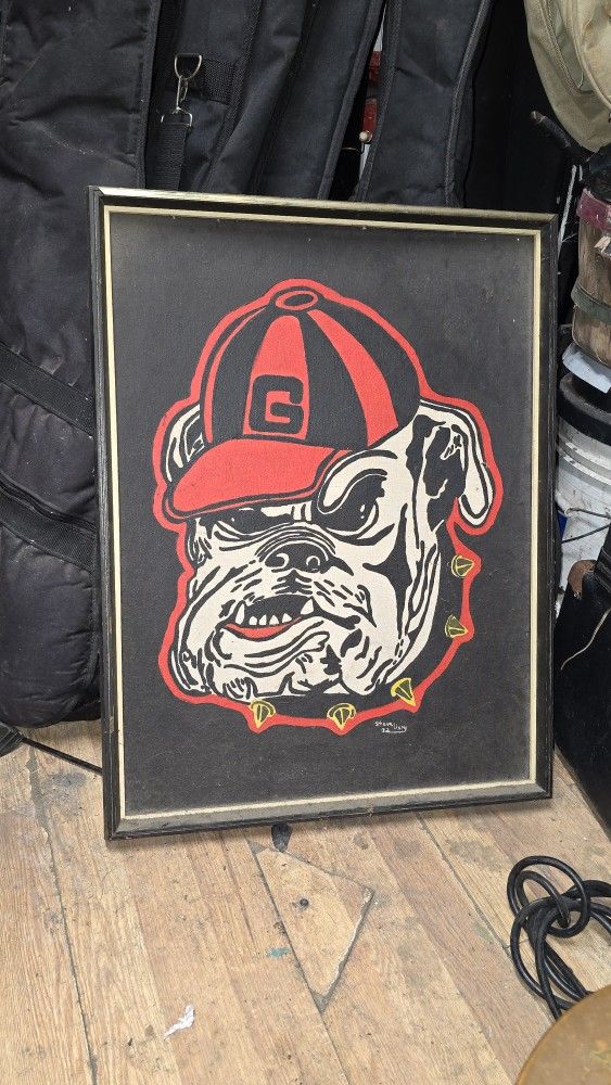 Georgia Bulldogs