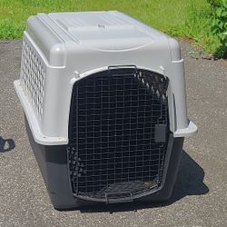 Pet Kennel