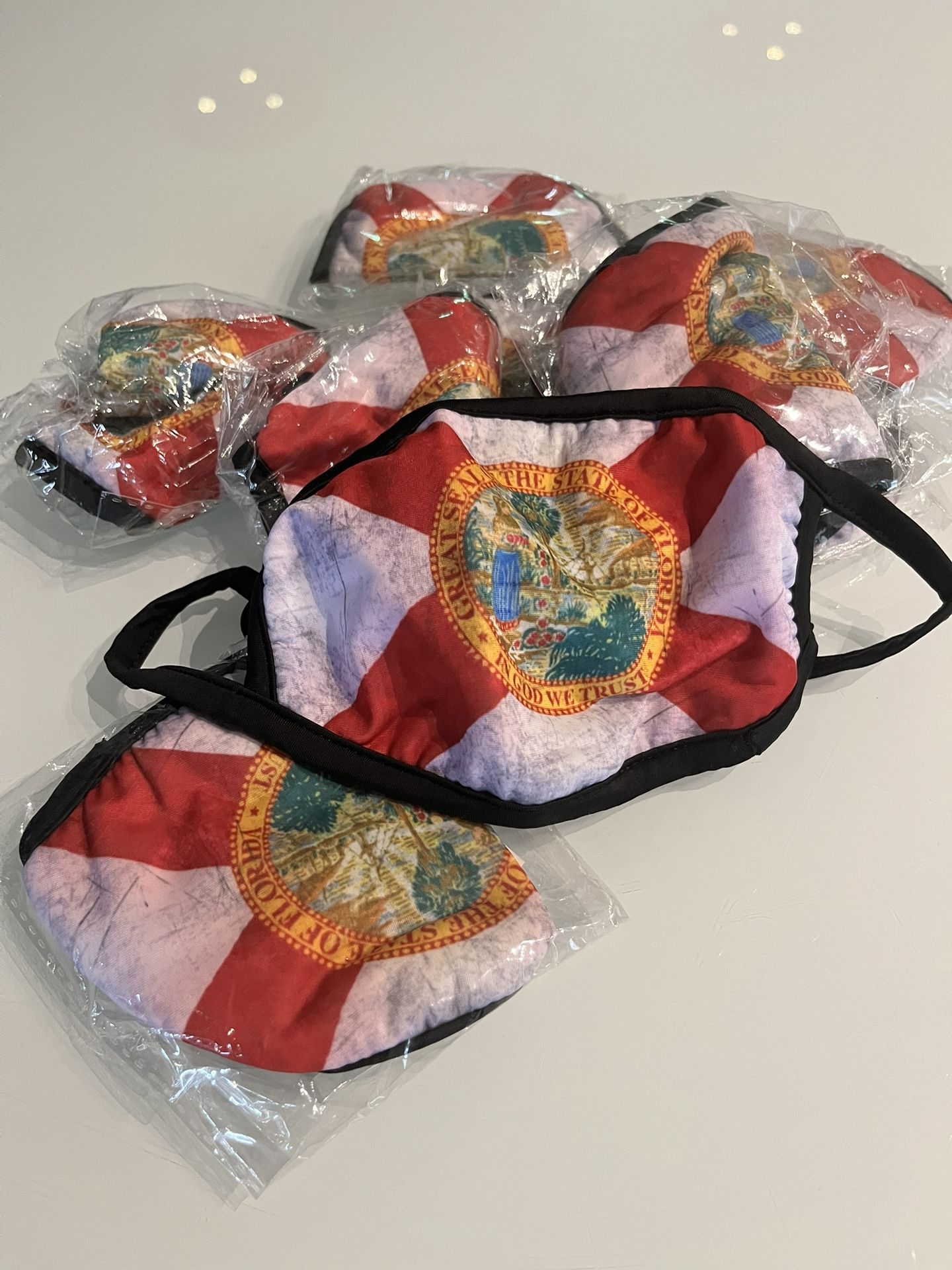 (80) Florida Face Mask