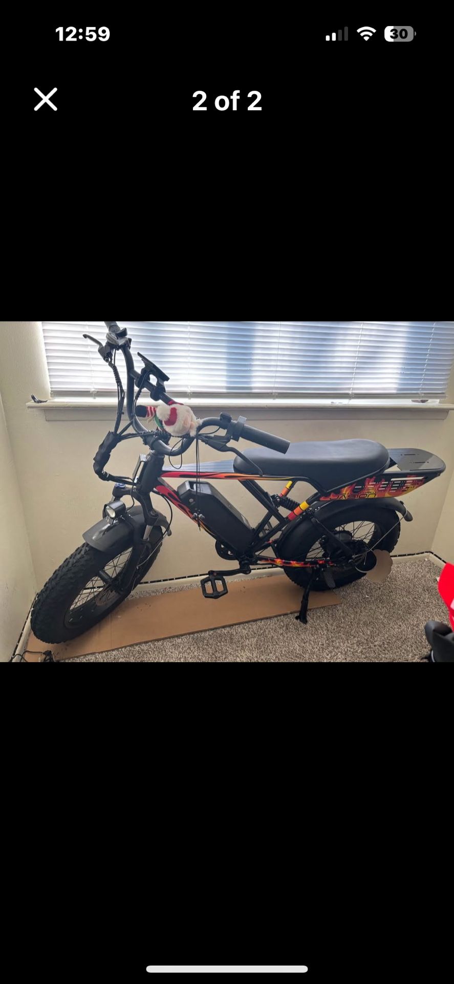 Electric Bike