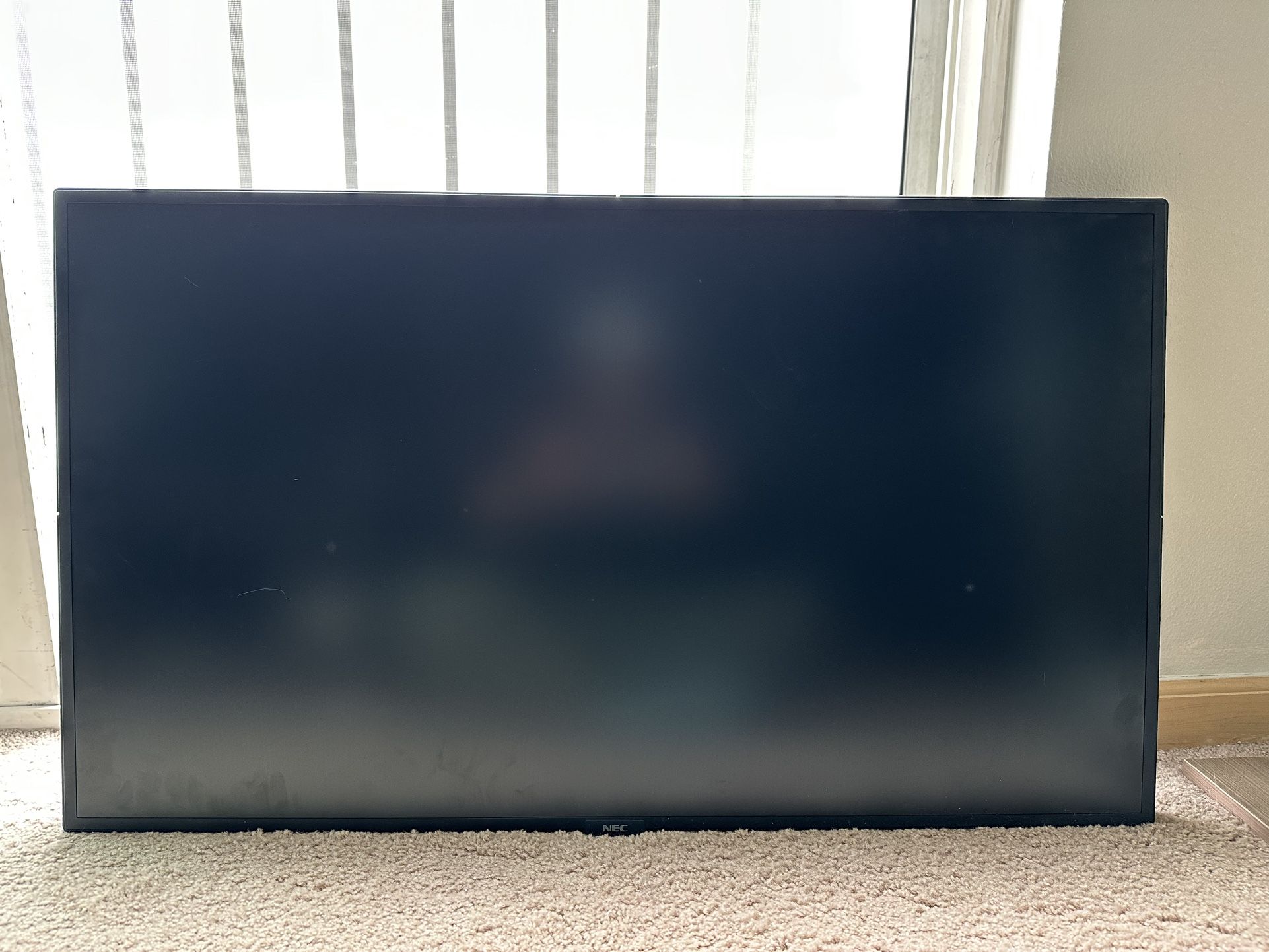 TV - NEC MultiSyncP404