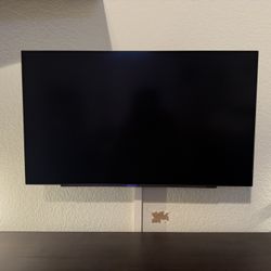 LG OLED Gaming Monitor