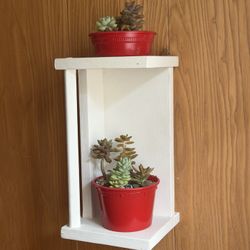 Wall shelf with succulents