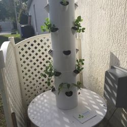 Tower garden