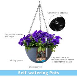 Self Watering Pots 2 