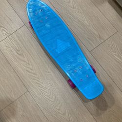 Swell Cruiser Skateboard 