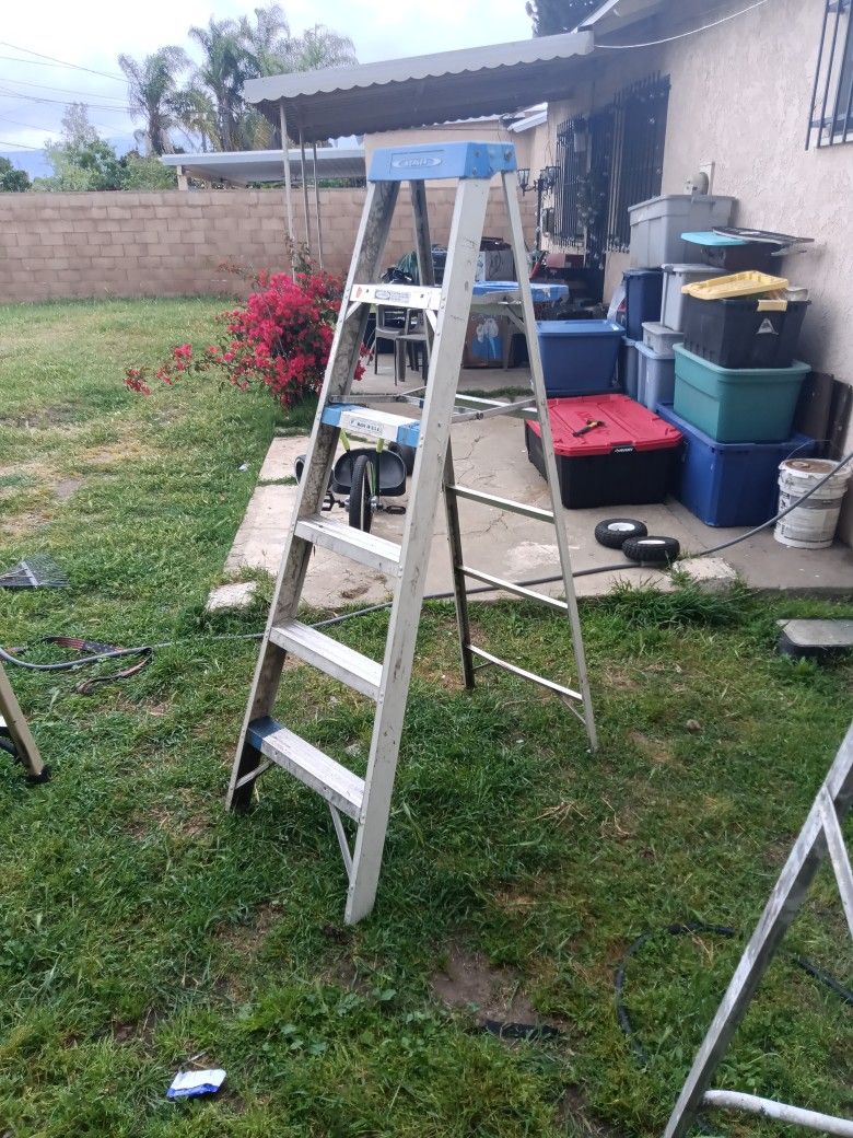 6' Werner Ladder