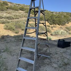 Ladder 8’