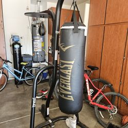 Everlast Speed and Heavy Bag