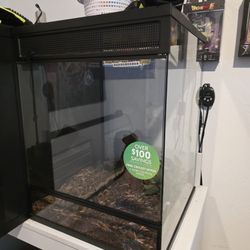 Reptile Enclosure 