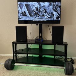 Roku TV Entertainment Setup + Speakers w Amp + LED Stand