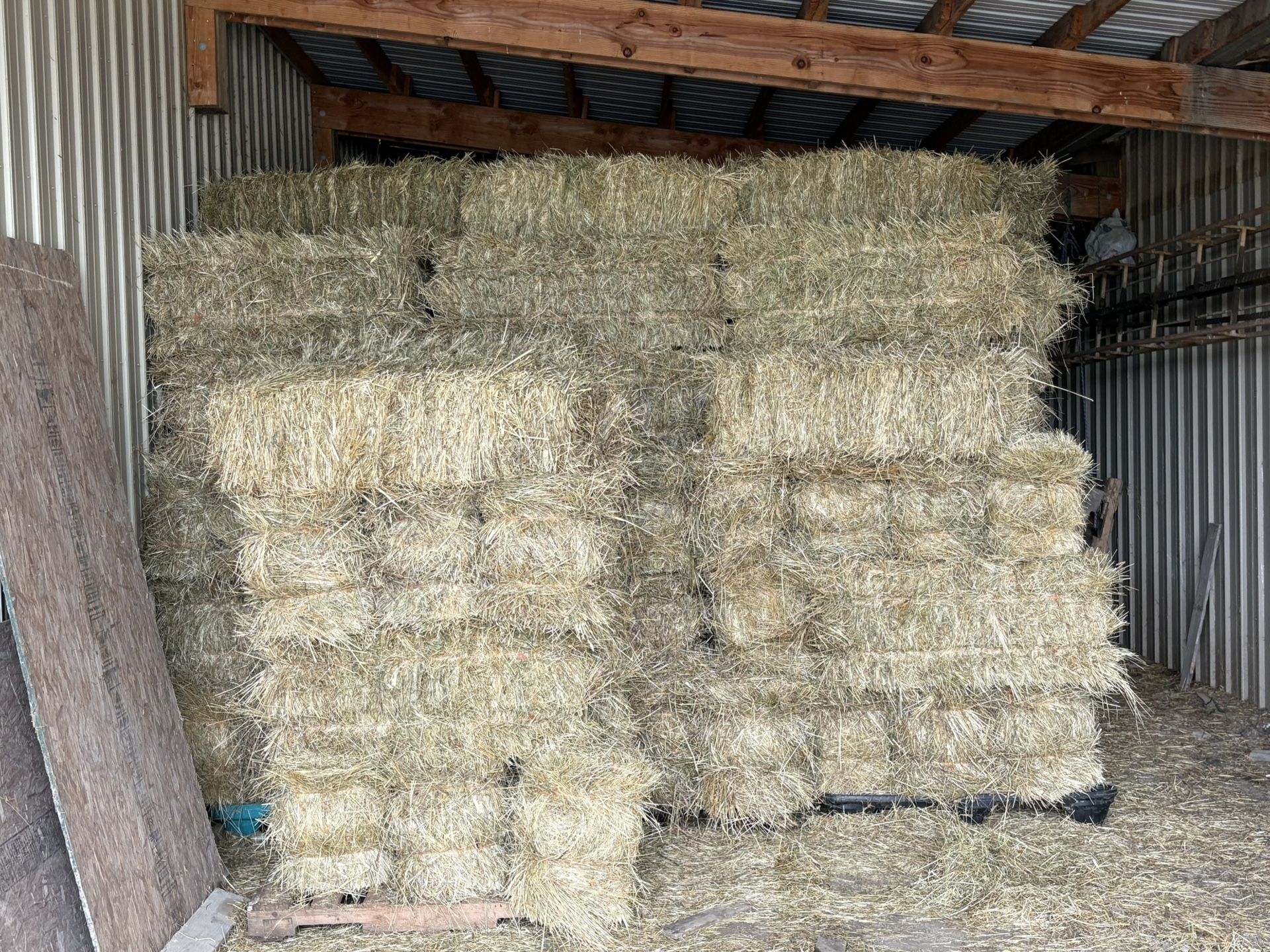 Grass Hay