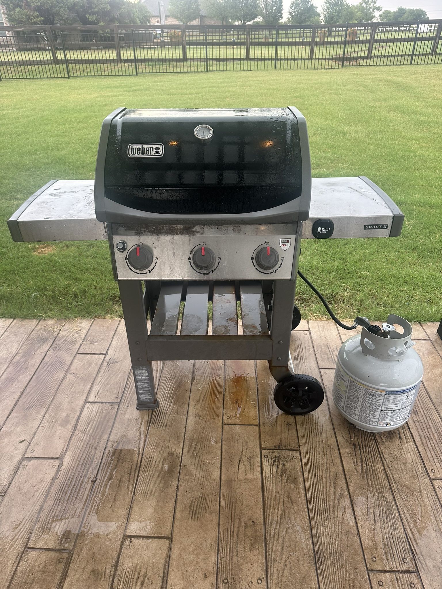Weber Grill