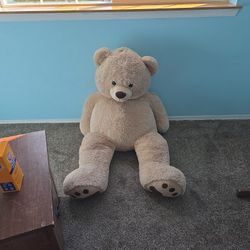 Huge Teddy Bear 