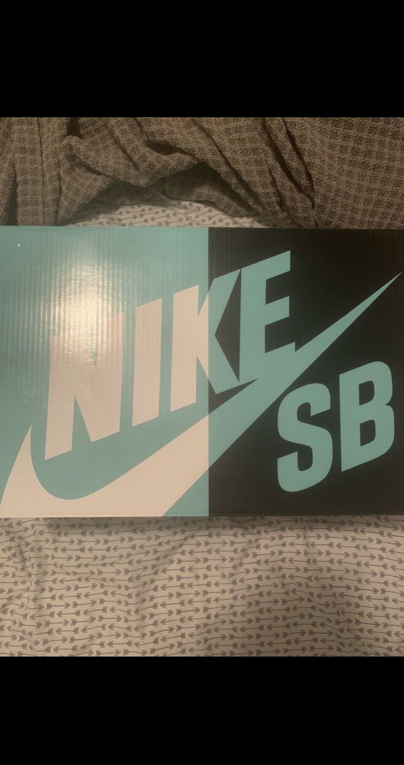Nike sb skate/outing shoes