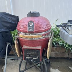 Smoker: Vision prozone ceramic kamado grill