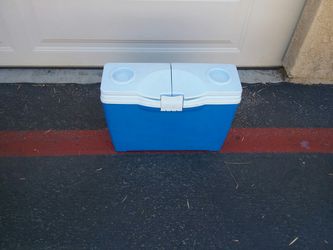 Cooler with carrying strap