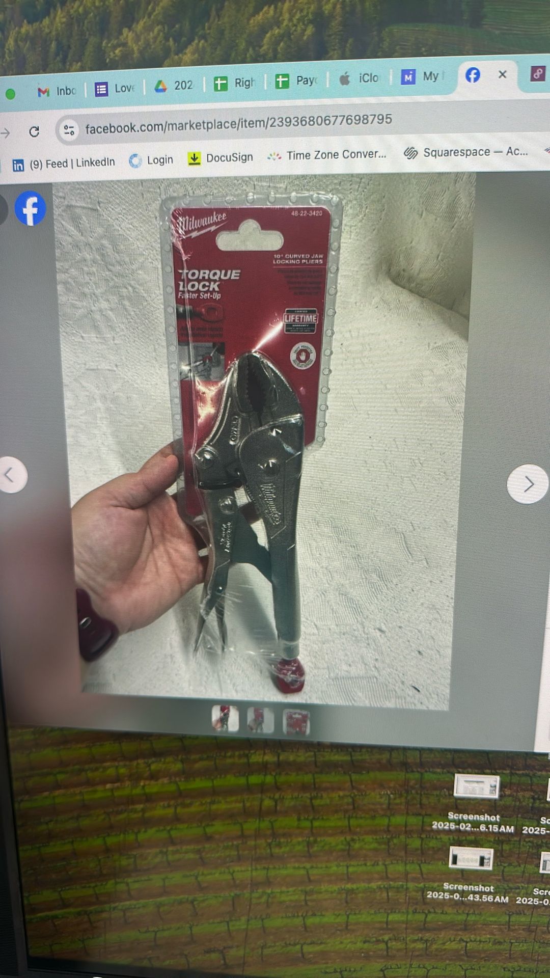 Milwaukee 48-22-3420 10 in. Torque Lock Curved Jaw Locking Pliers New in Package