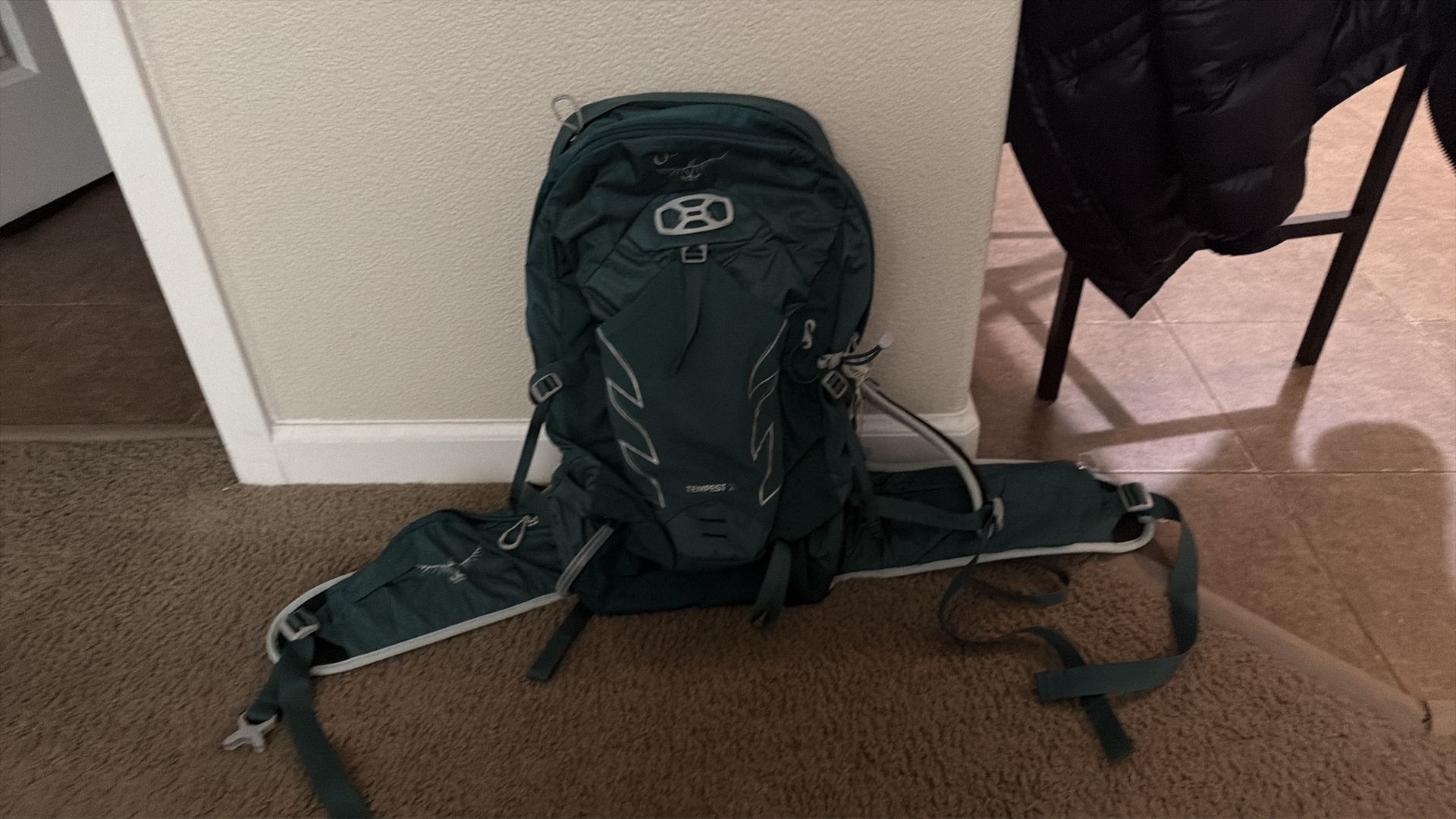 Osprey tempest 20 backpack