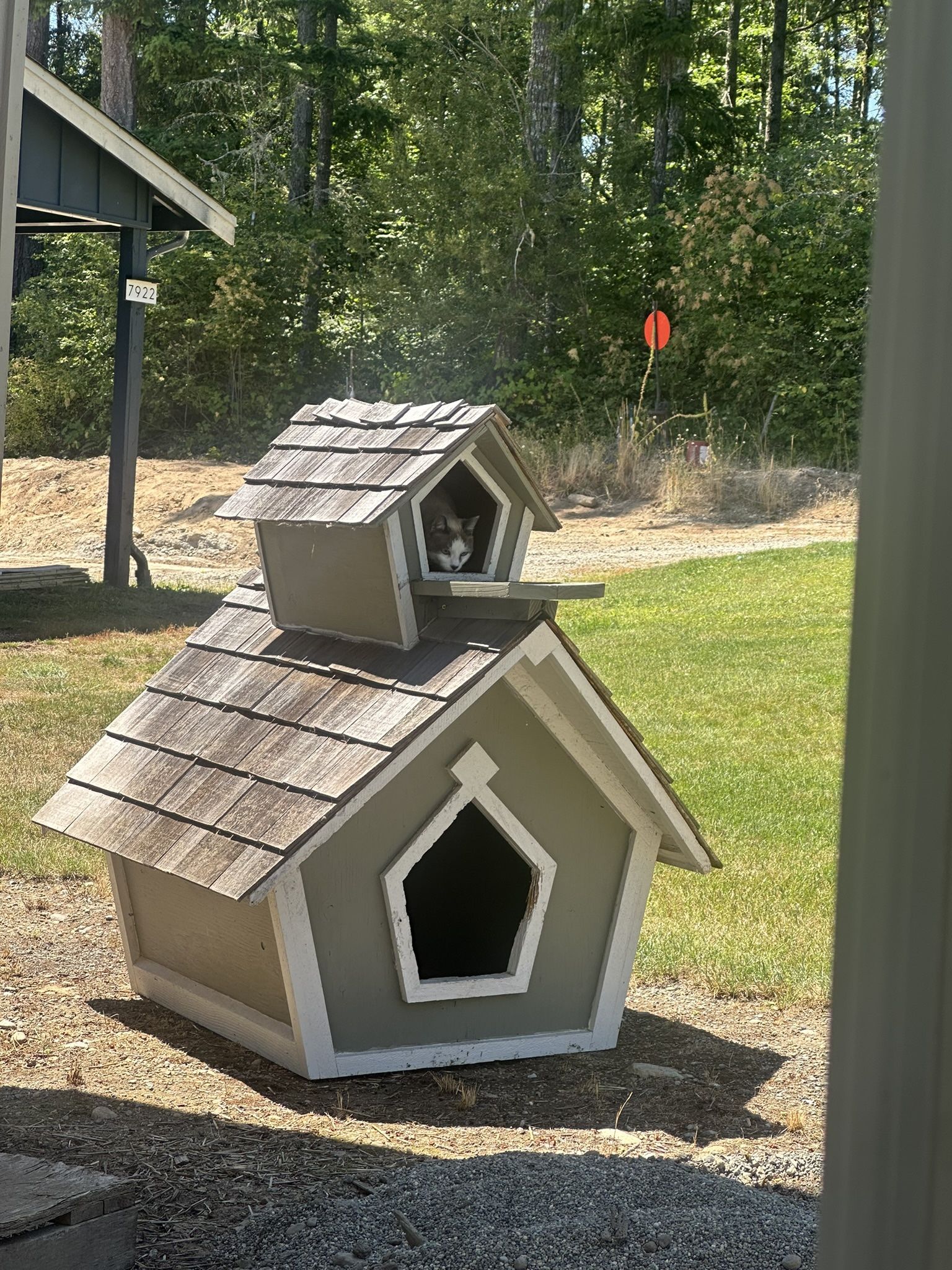 Custom Built Doghouse with Cat Condo on Top – Unique Pet House