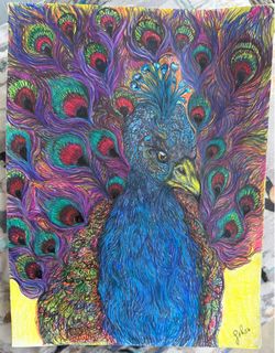 peacock drawing