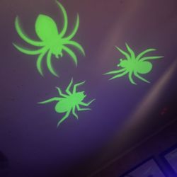Green Spiders Lights 