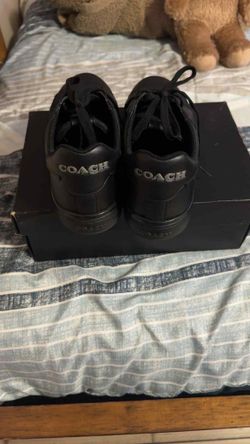 Coach 8.5 Men's