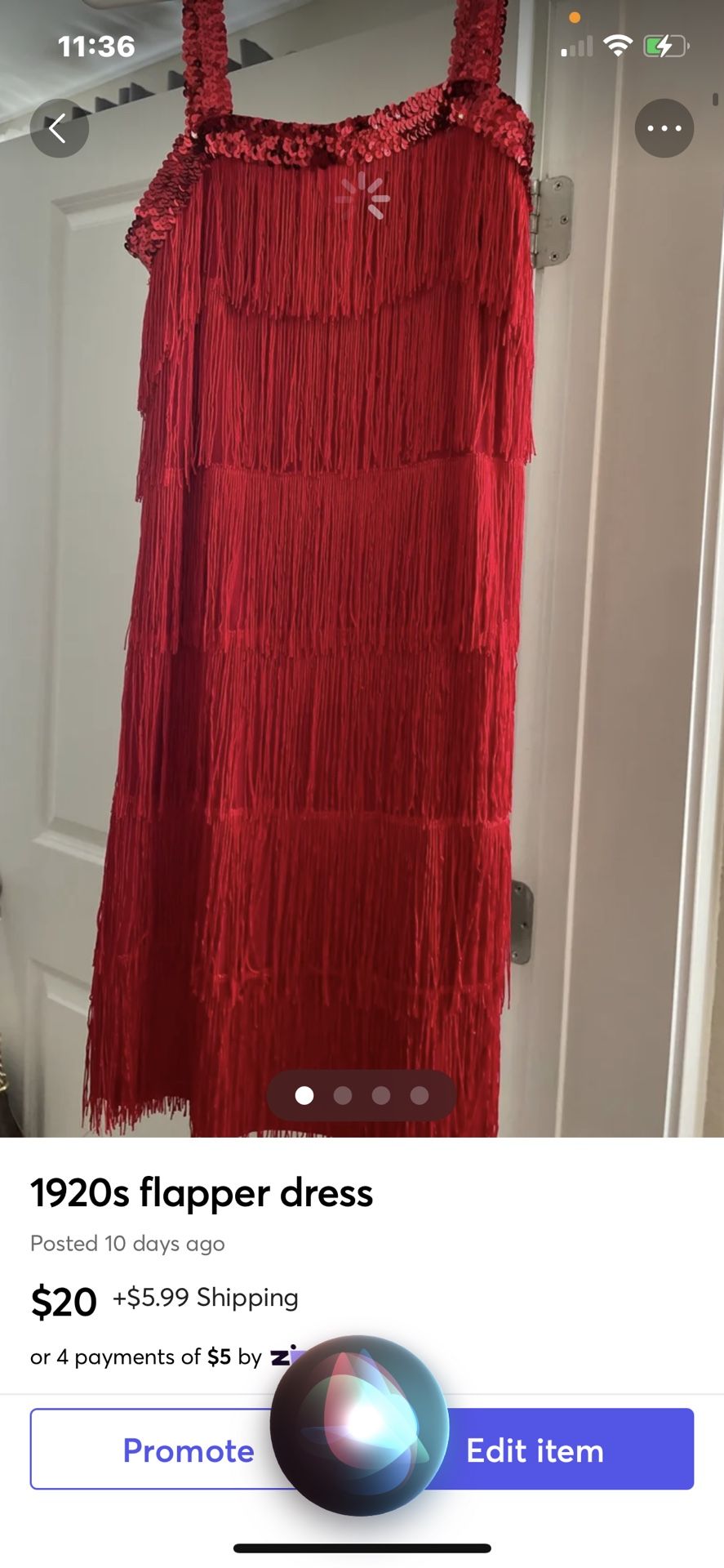 Fringe dress