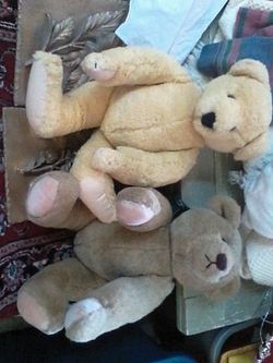 GUND and North American bear company