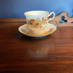 Queen Anne Bone China Teacup