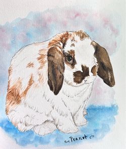 Custom Handmade Pet Portrait
