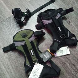 2 Dog Harnesses And One Muzzle