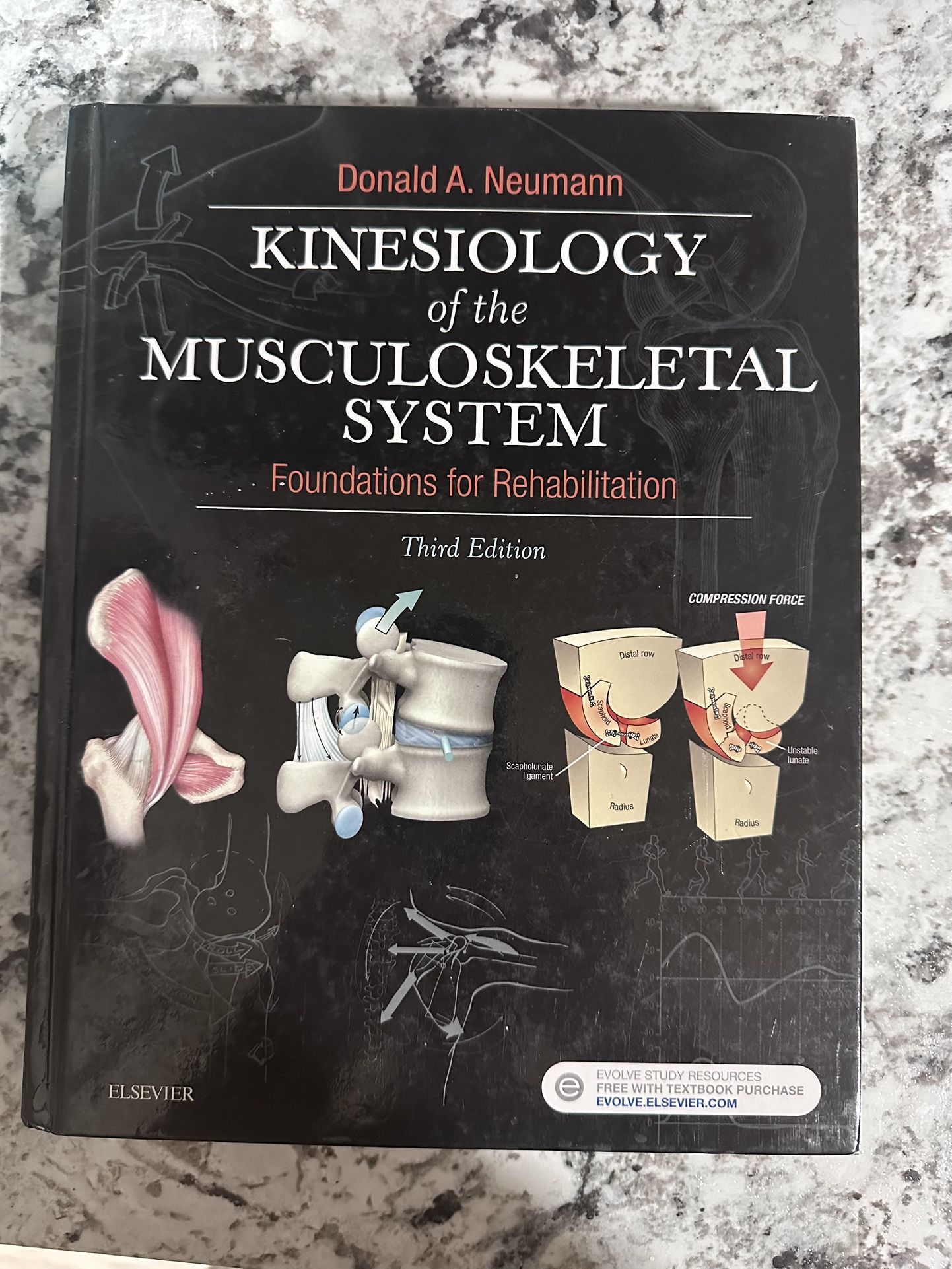 Kinesiology of the Musculoskeletal System: Foundations for Rehabilitation