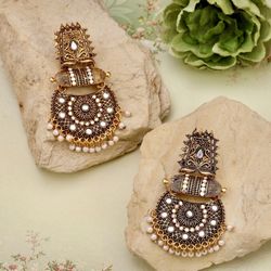 Beautiful Fashion Drop Earrings 