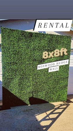 Hedge Wall
