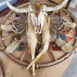 Native American Sioux BULL Head On Wheel  4 feet Diameter