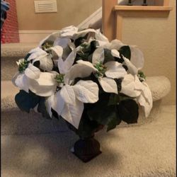 Artificial white flowers in vase/ home decoration