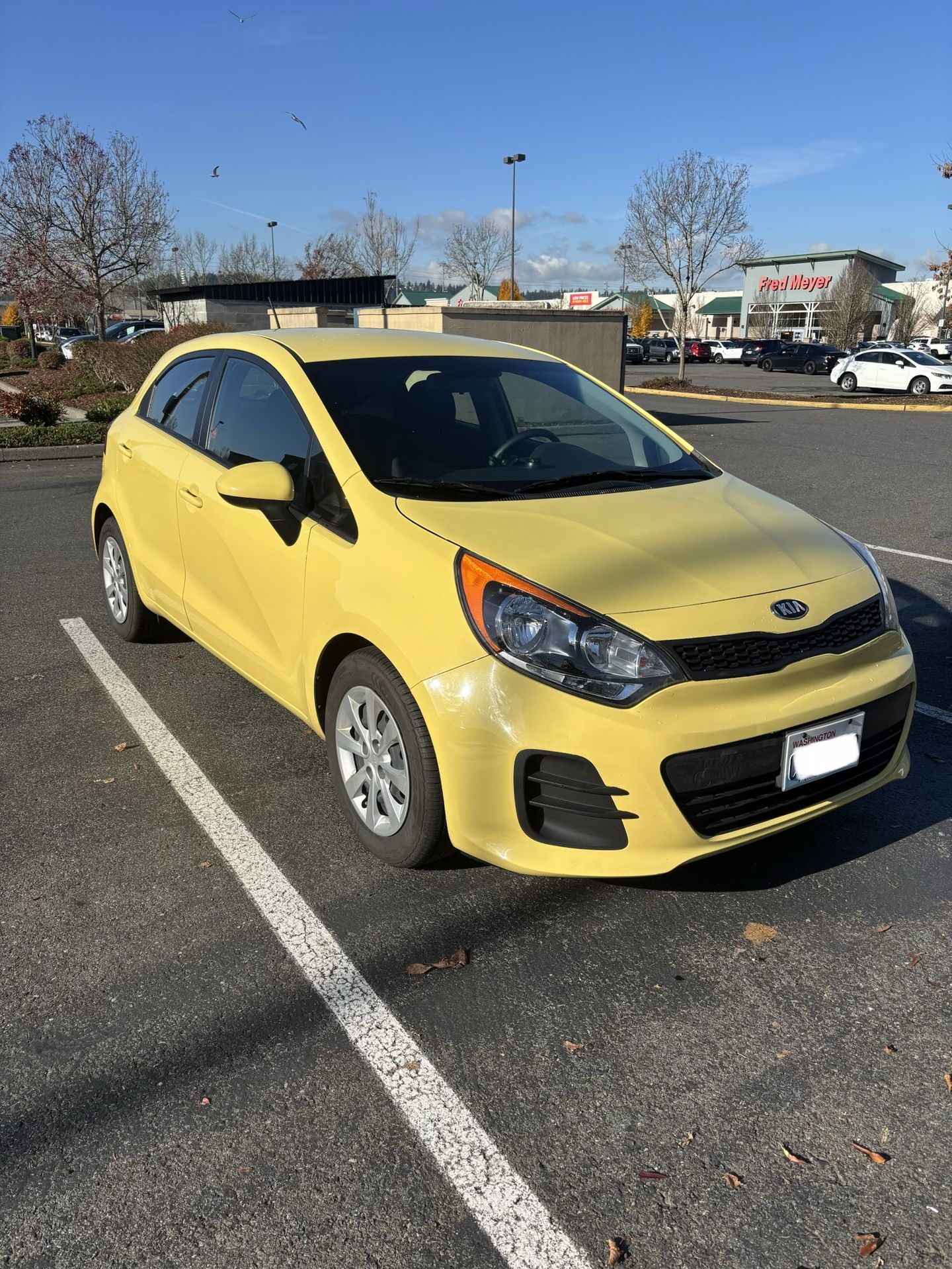 2016 KIA Rio