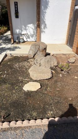 FREE rocks