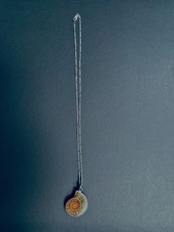 Ammonite Fossil Sterling Silver Necklace