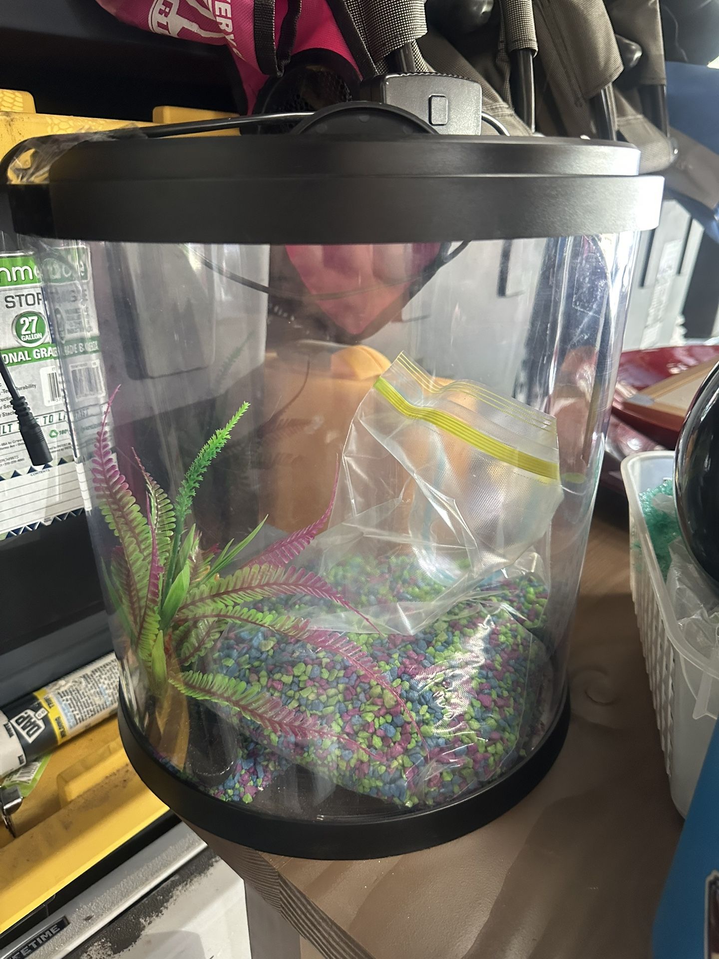 Fish Tank 