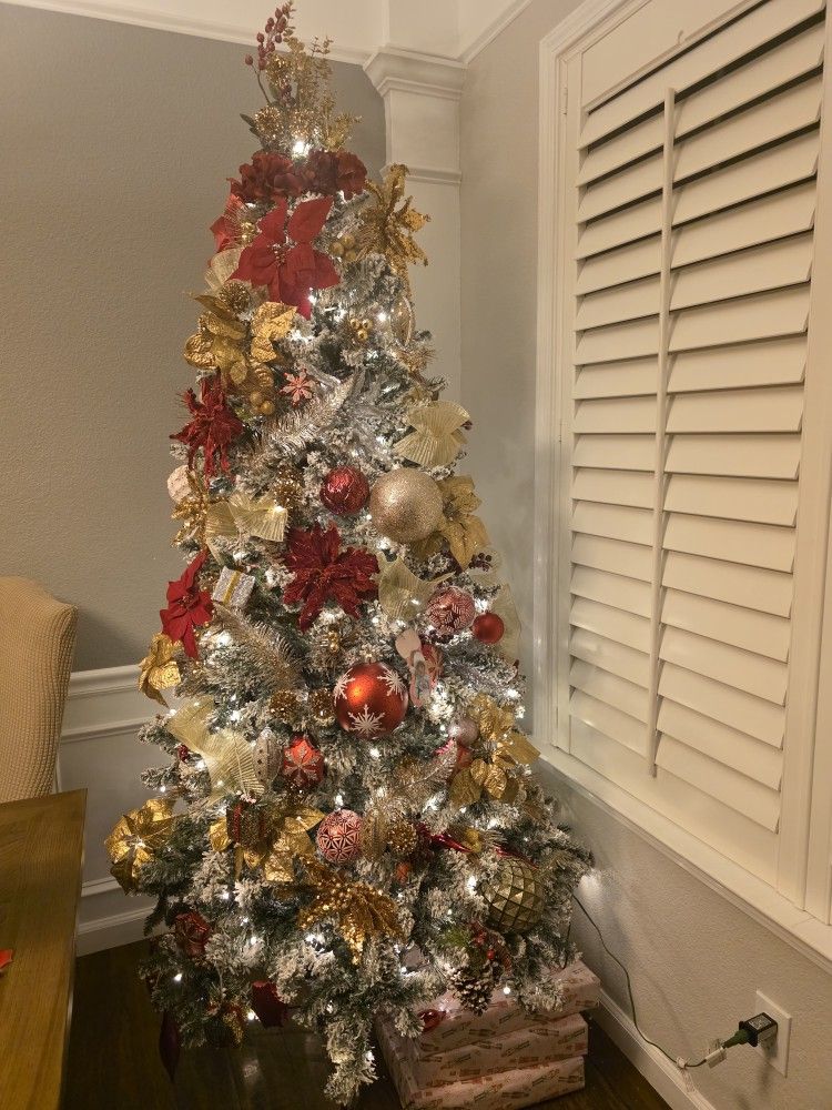 Christmas Tree For Sale