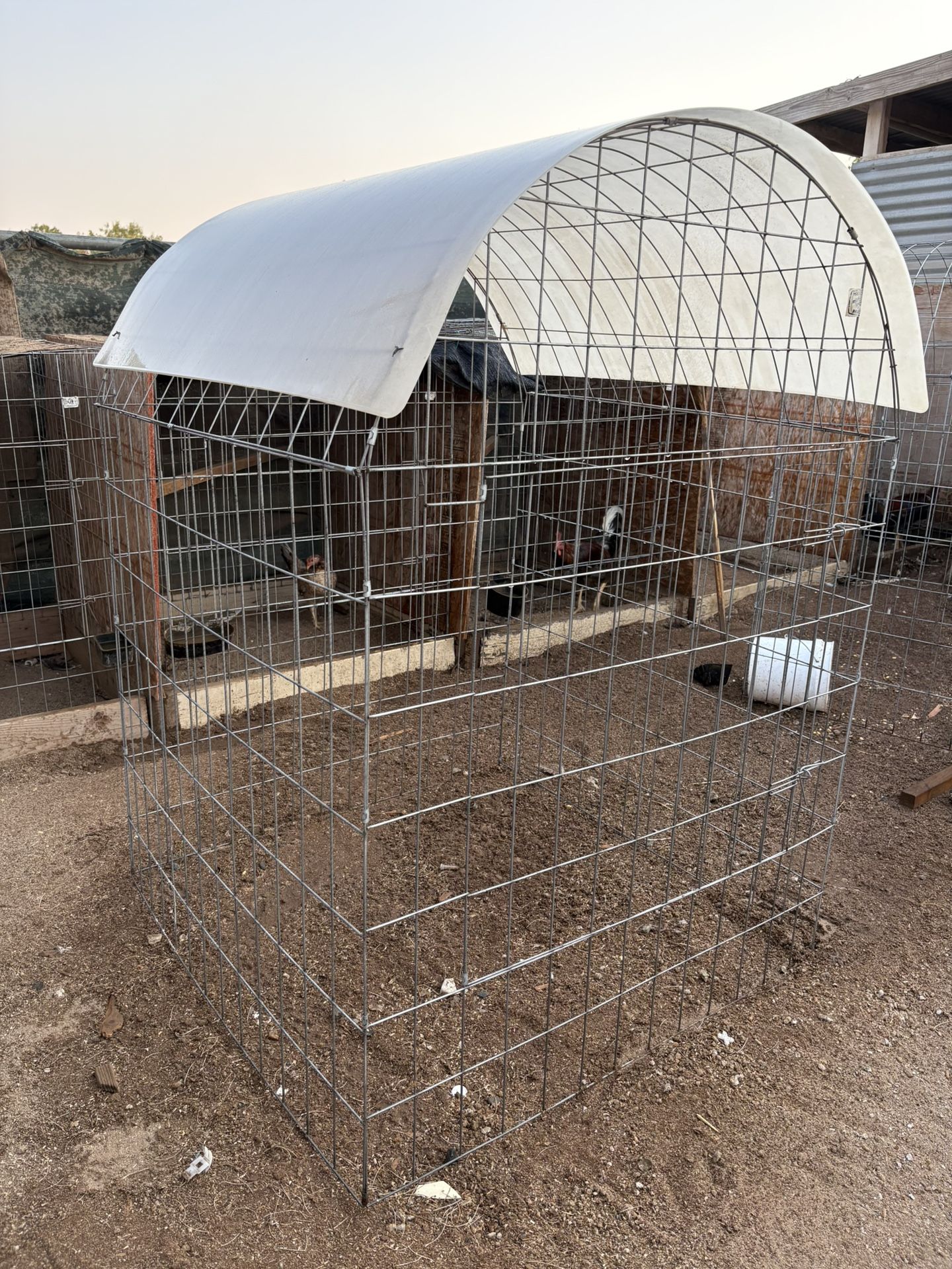 Bird Cage Rooster Cage Jaulas Cages