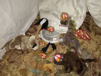 1998 beanie baby rare