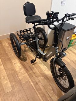 Lectric trike