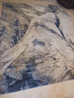 Grey Area rug 7ā10ā x 10ā