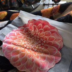 Dalia Glasses/Phone Wipe