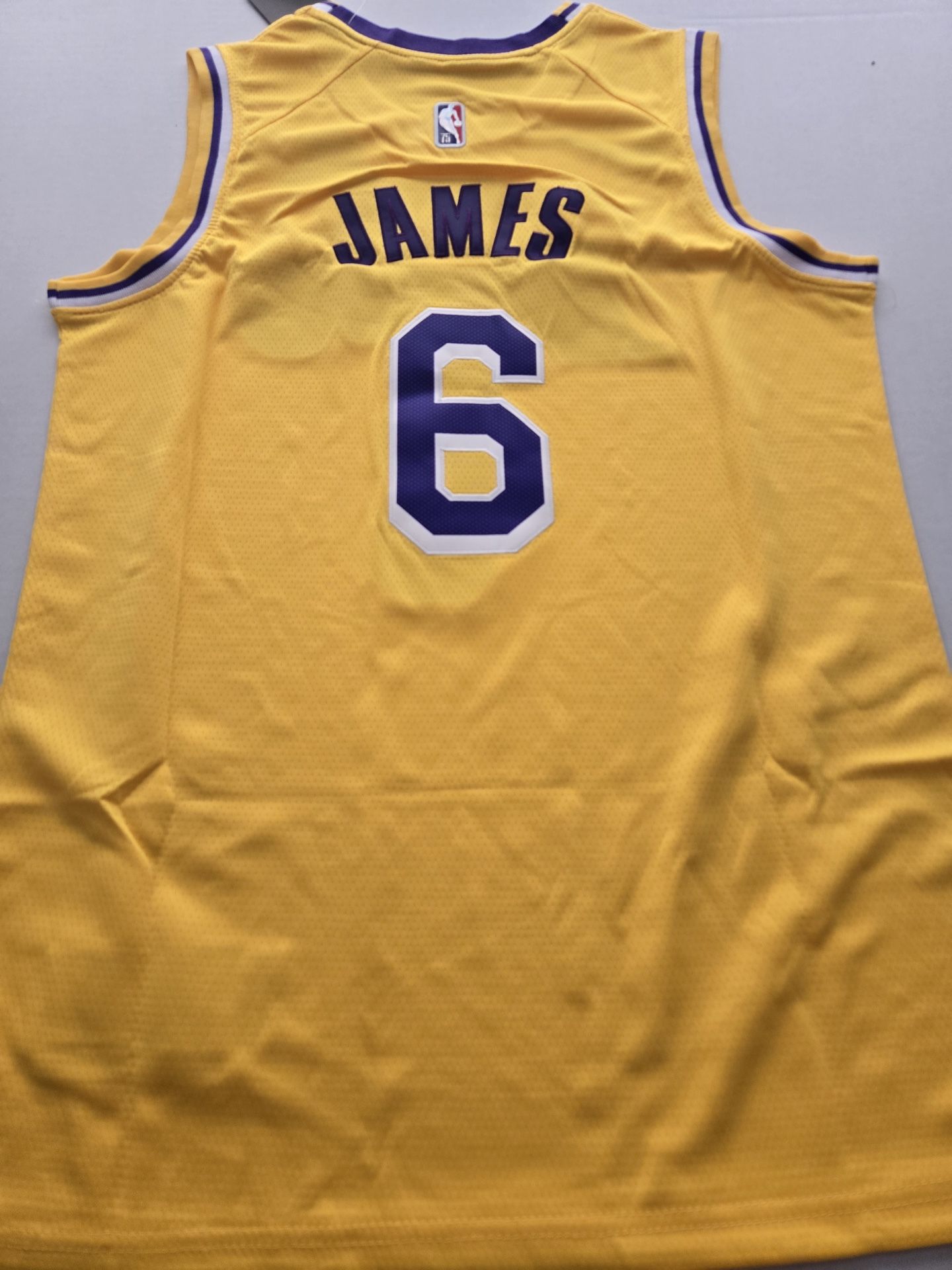 NBA Lakers James #6 classic jersey
